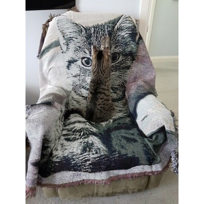 Naughty Cat Blanket